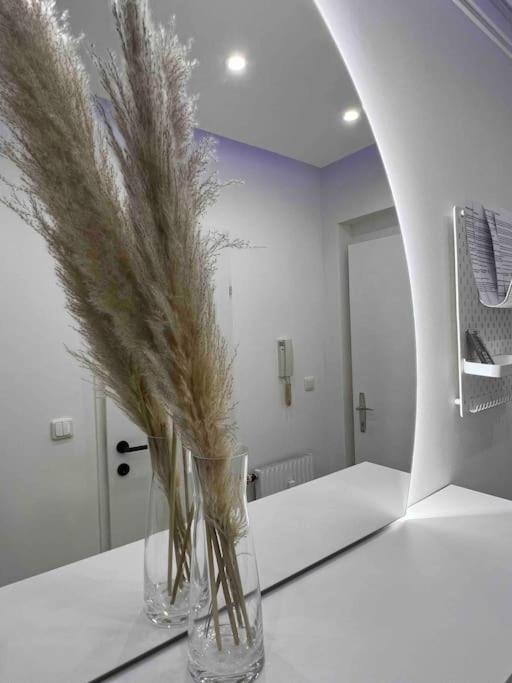 Traum Wohnung Mit Kingsize-Bett Graz Dış mekan fotoğraf